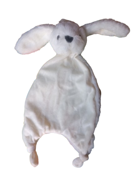 ei_1736434896031-removebg-preview mini club haasje ivoor